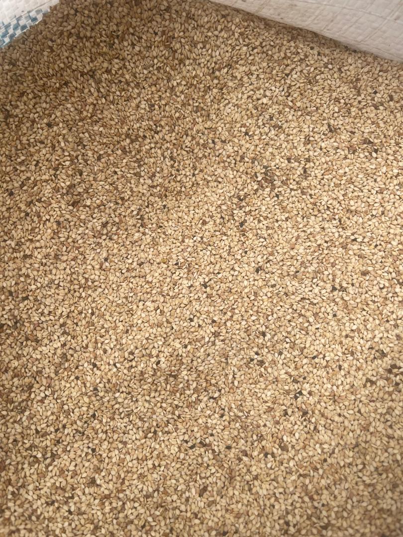 Whitish sesame seed in an open woven polypropylene bag
